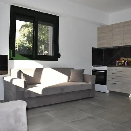 Irina's 2 بساكوذيا